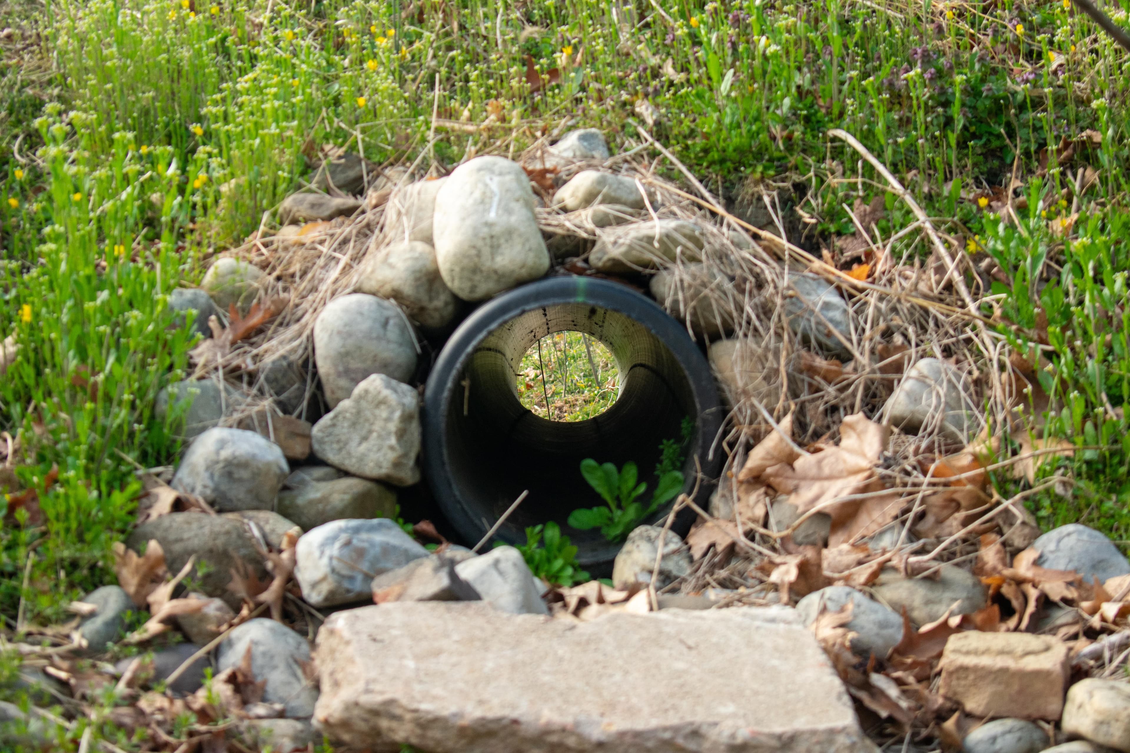 Ditch Cleaning & Maintenance image